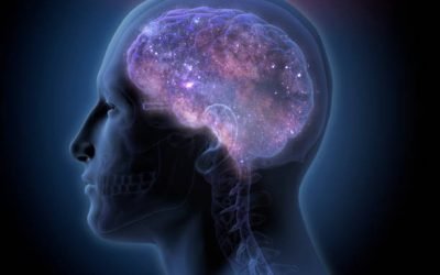 Revitalize Your Brain Through Reflection