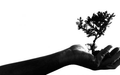 Know your rights – Fair Work