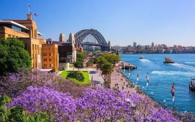 Discover the Most Beautiful Jacaranda Walks in Sydney This Spring