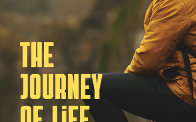 “When Life Says No, Become the Whisperer of Yes”