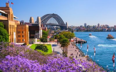 Sydney’s Purple Reign: Your Ultimate Guide to the Jacaranda Season